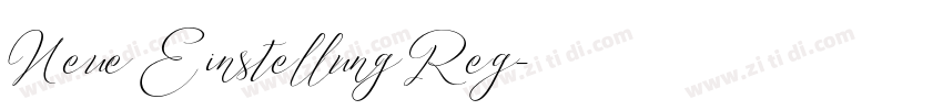 Neue Einstellung Reg字体转换